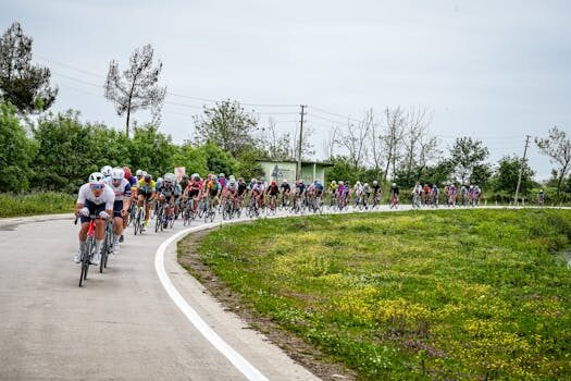 How to lead your work team?