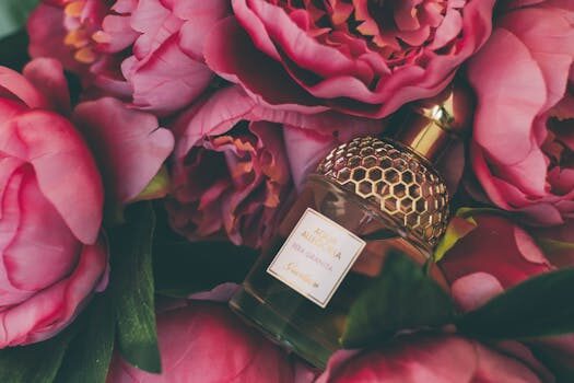 Jenna Ortega, actriz de &#8216;Miércoles&#8217;, sobre su perfume favorito: el aroma que la define